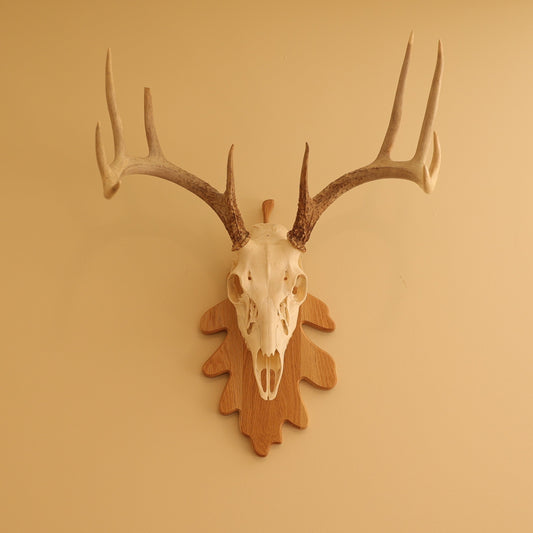 European Leaf Wall Mount