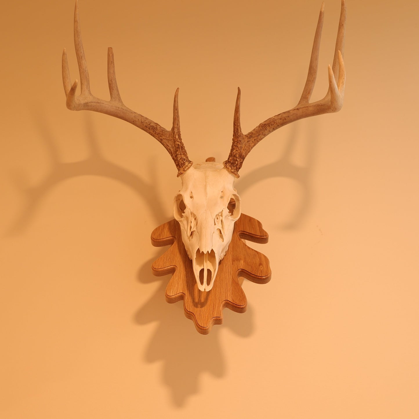 Leaf pedestal wall or tabletop mount