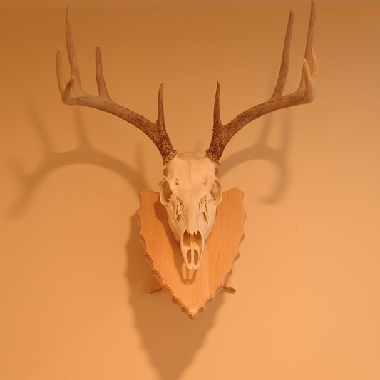 Arrowhead pedestal wall or tabletop mount