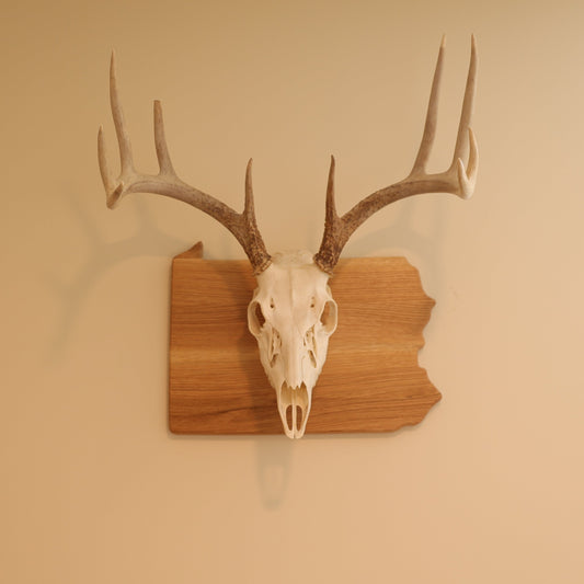 Oak European State Mount Plaque