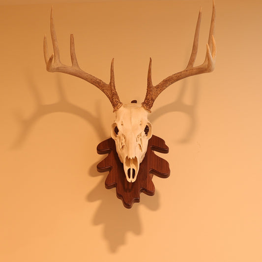 Leaf pedestal wall or tabletop mount