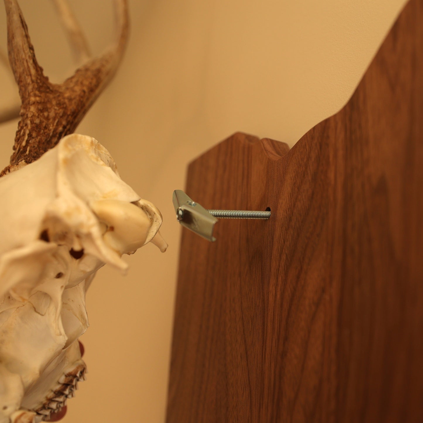 European Arrowhead Wall Mount