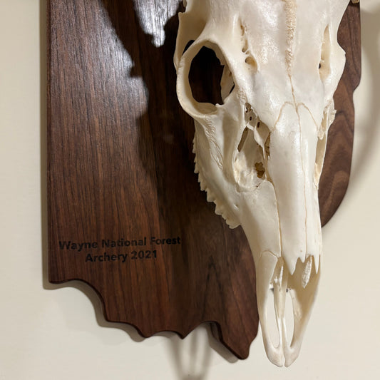 Engraved Walnut European State Mount Plaque