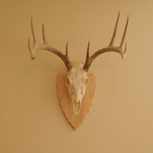 European Arrowhead Wall Mount