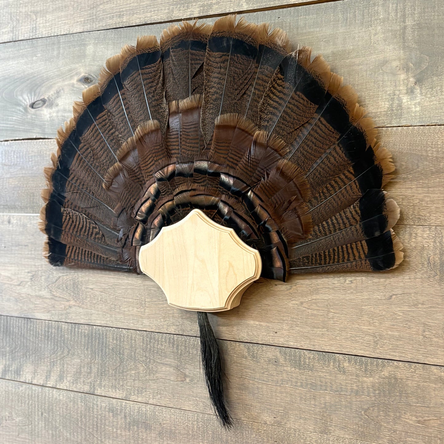 Curved Turkey Plaque Half
