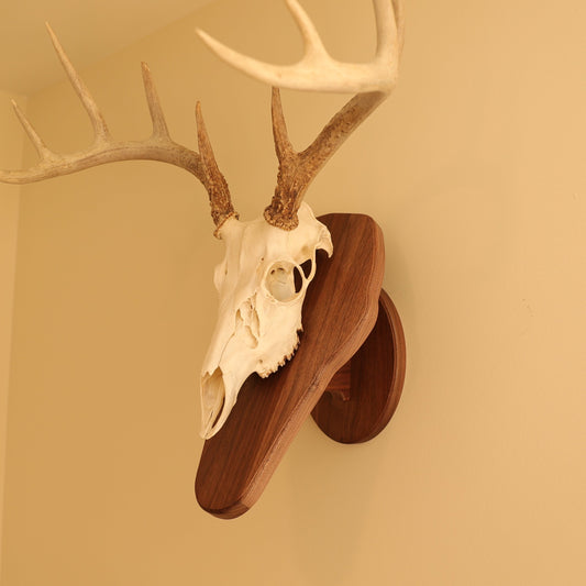 Standard pedestal wall or tabletop mount