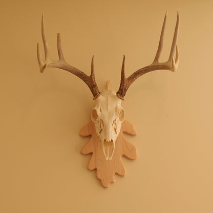 European Leaf Wall Mount