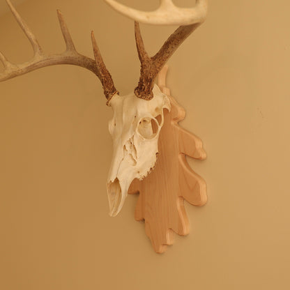 European Leaf Wall Mount