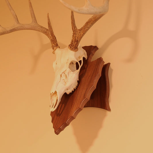 Arrowhead pedestal wall or tabletop mount