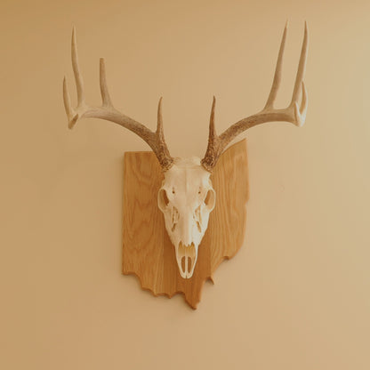 Oak European State Mount Plaque