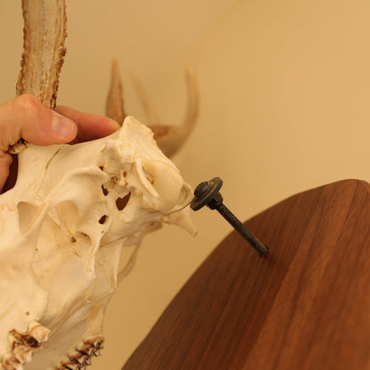 Standard pedestal wall or tabletop mount