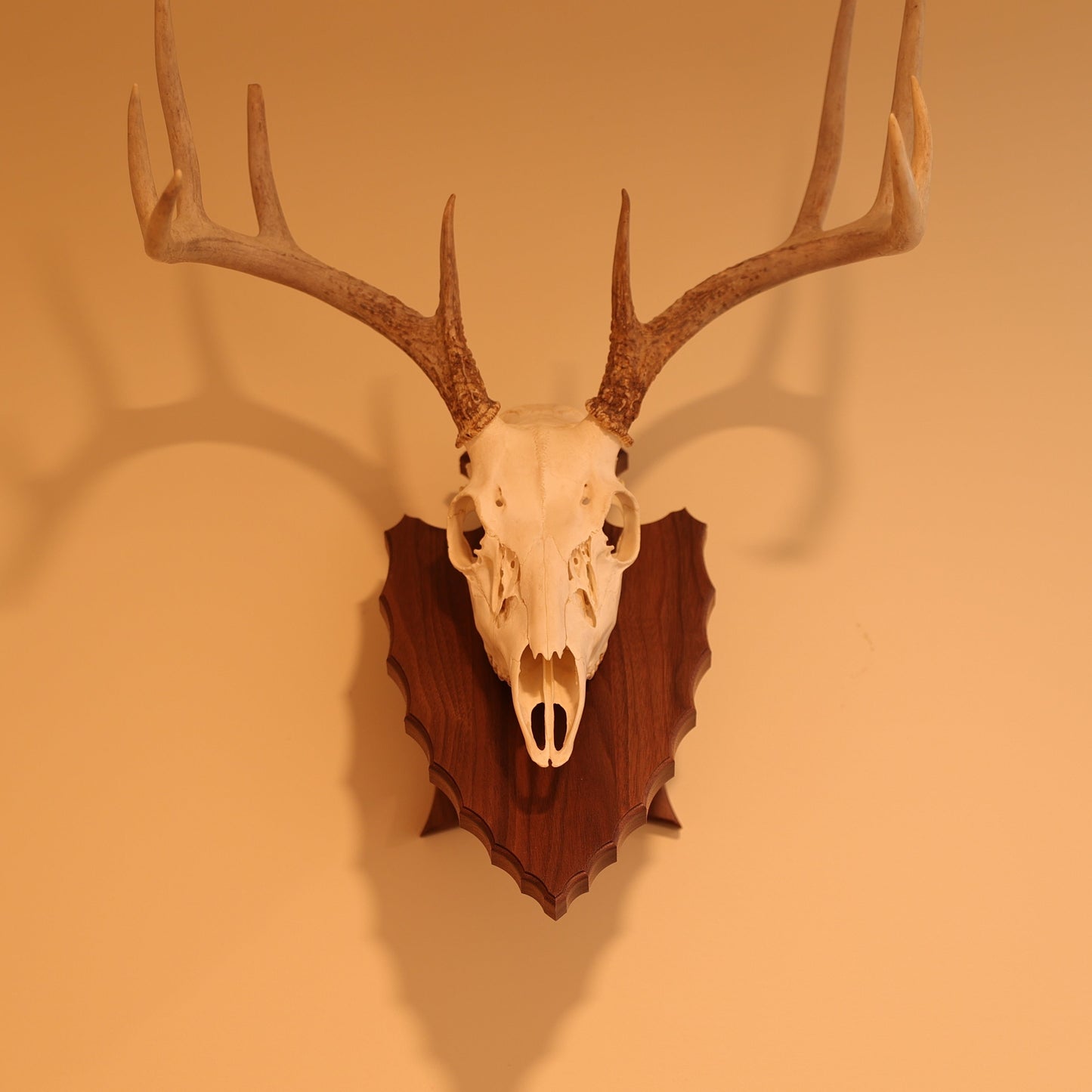 Arrowhead pedestal wall or tabletop mount