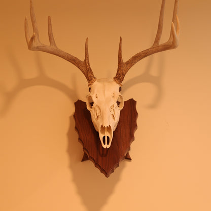 Arrowhead pedestal wall or tabletop mount