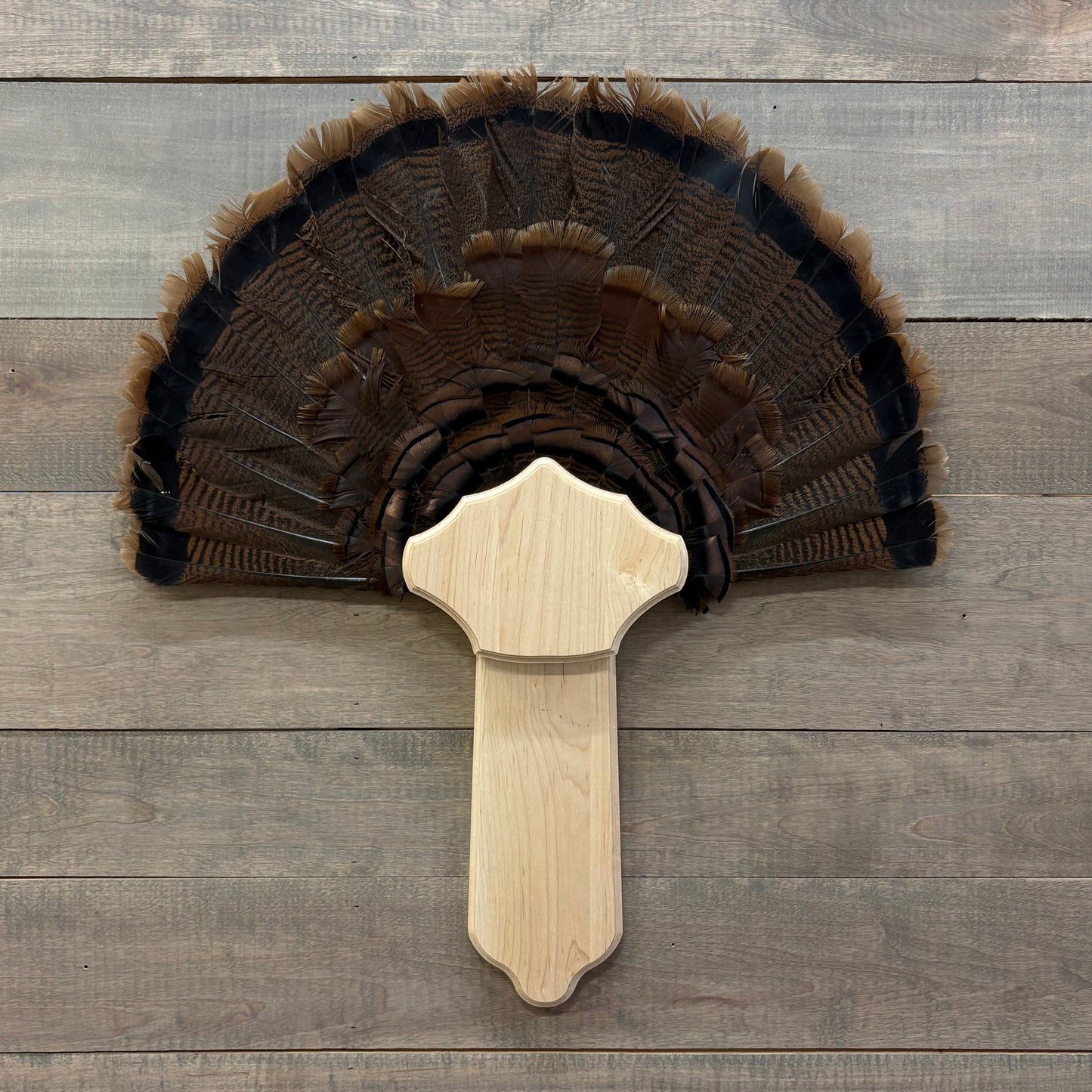 Curved Turkey Plaque Full