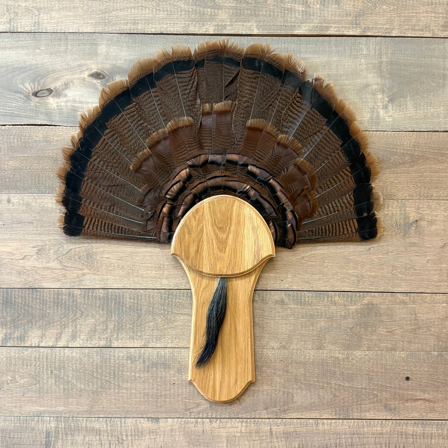 Round Turkey Plaque Full