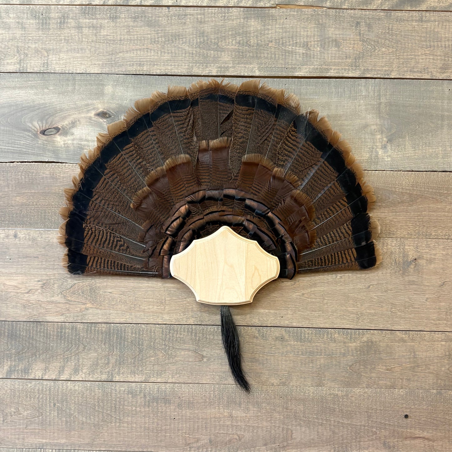 Curved Turkey Plaque Half