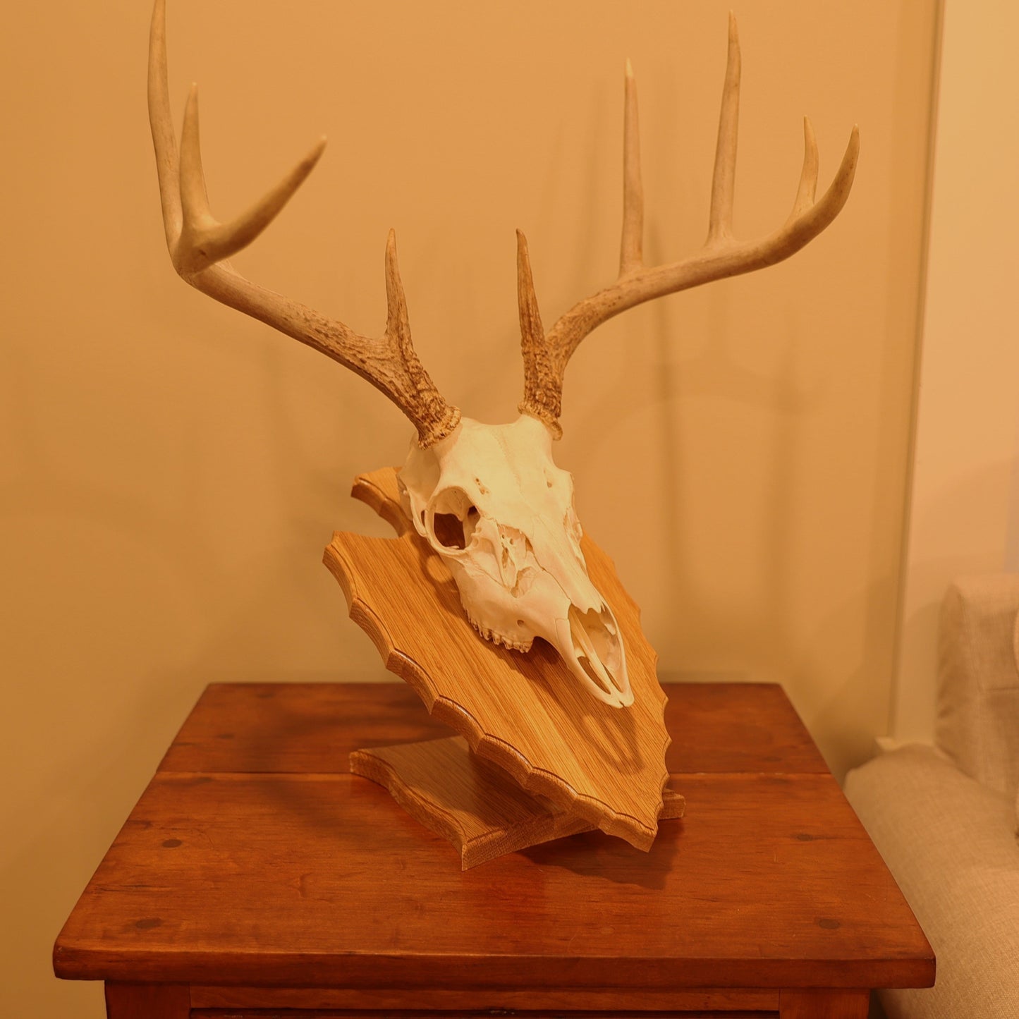 Arrowhead pedestal wall or tabletop mount
