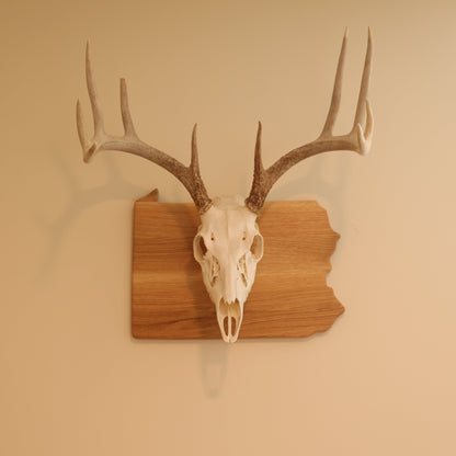 Oak European State Mount Plaque