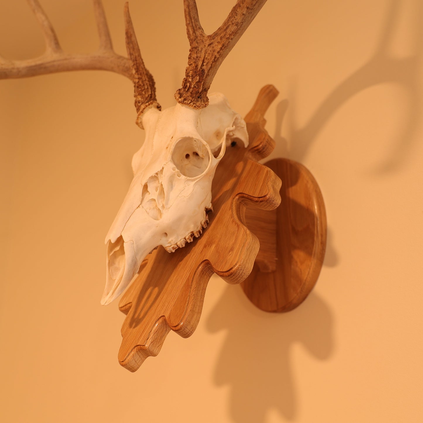 Leaf pedestal wall or tabletop mount