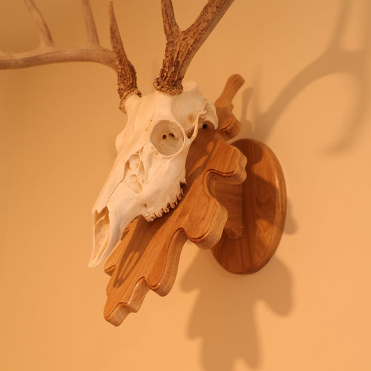 Leaf pedestal wall or tabletop mount