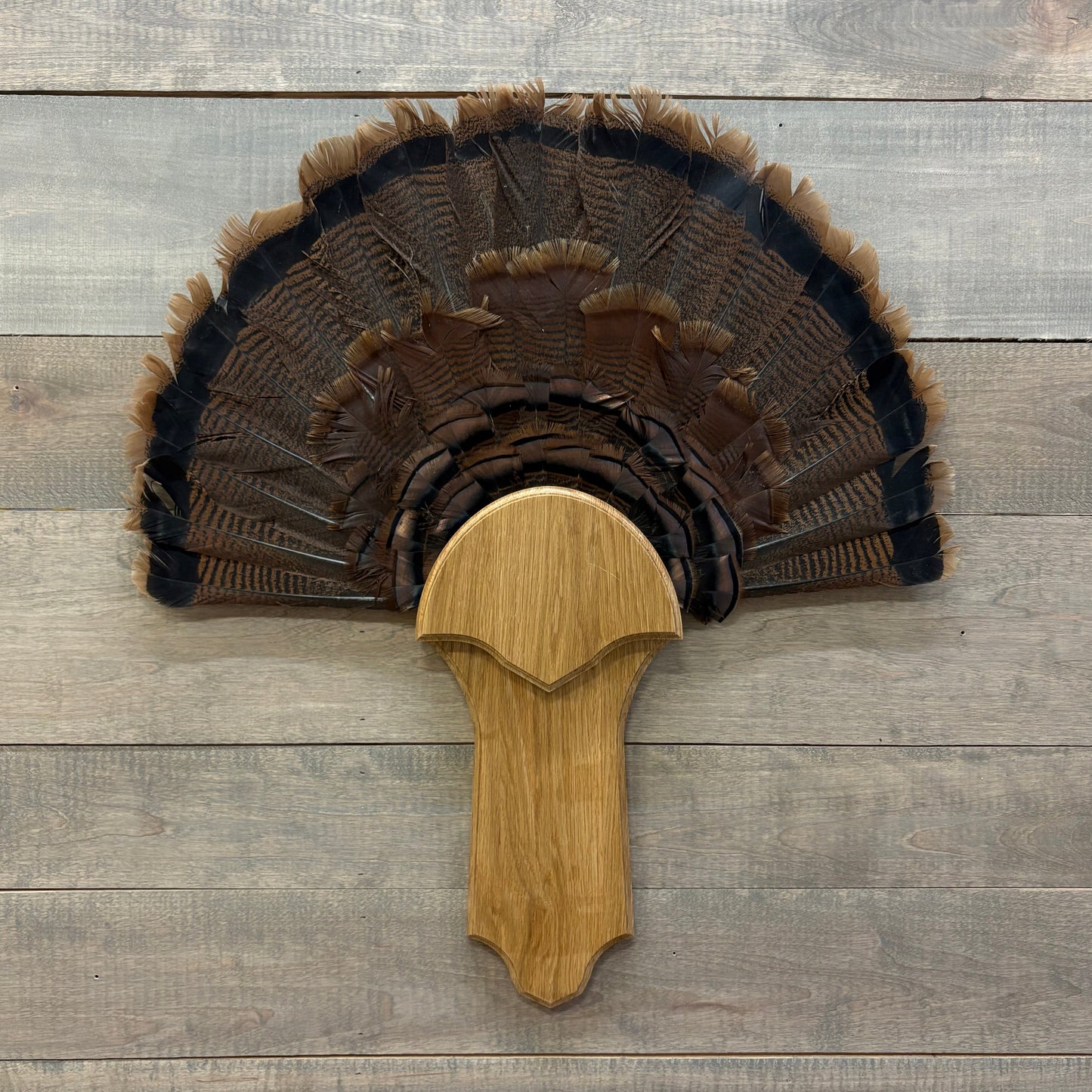 Pointed Turkey Plaque Full