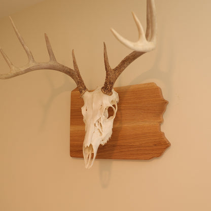 Oak European State Mount Plaque