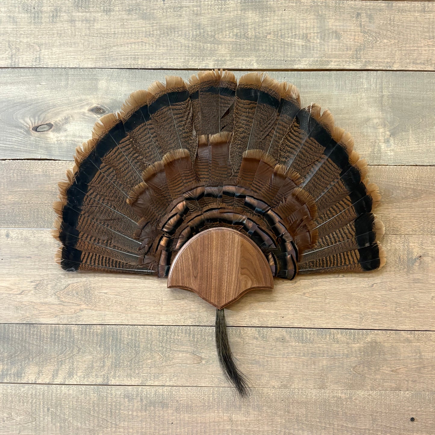 Pointed Turkey Plaque Half