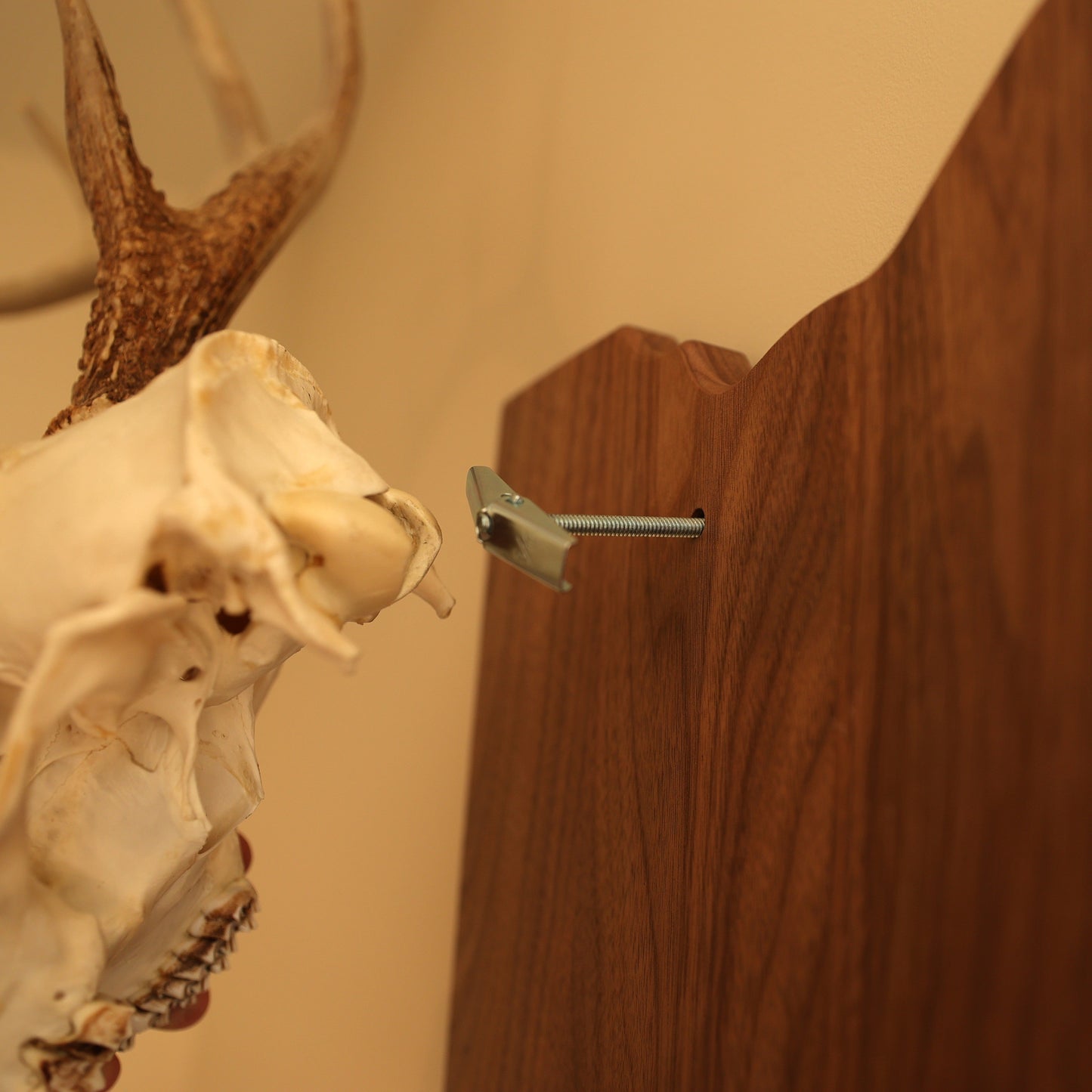 European Standard Wall Mount