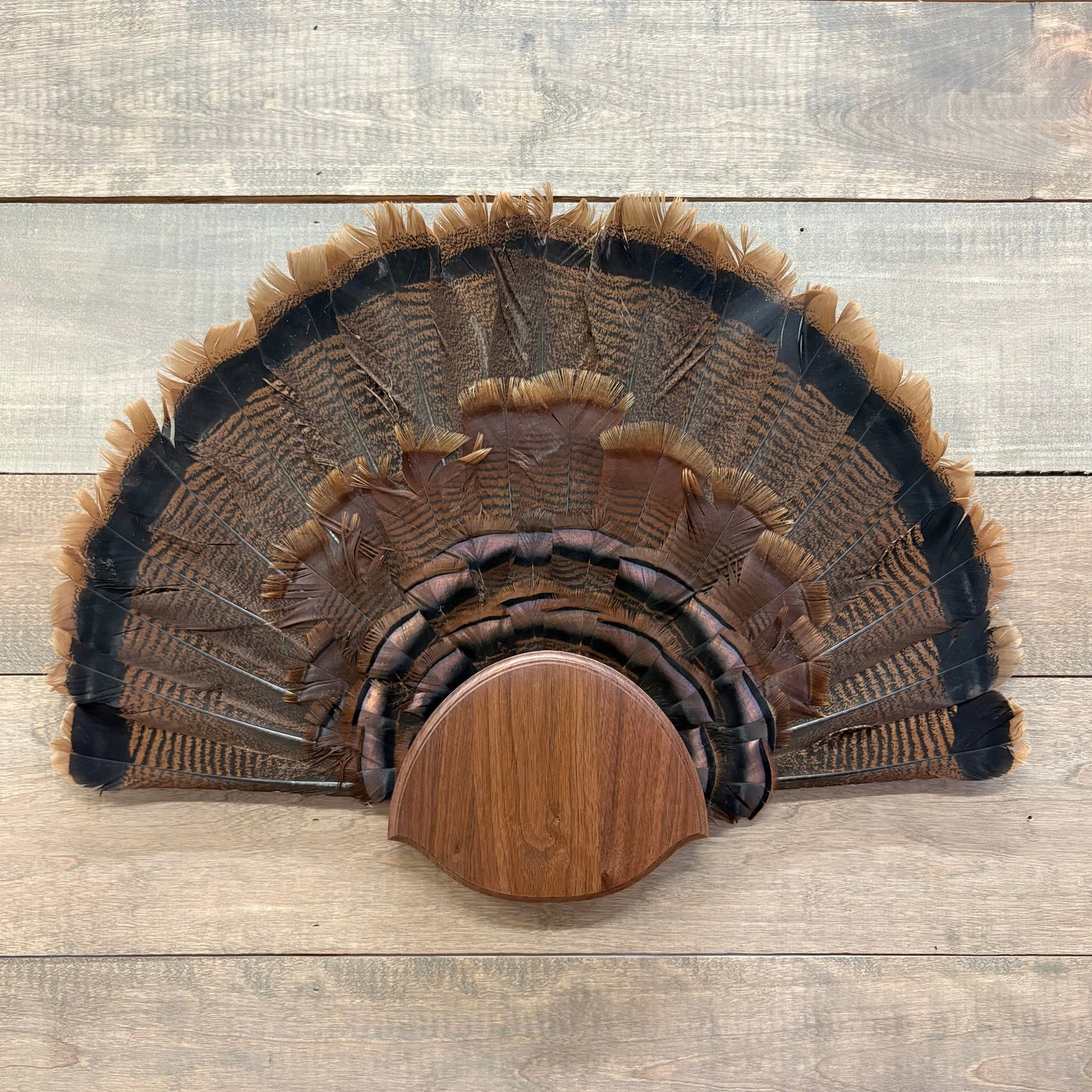 Round Turkey Plaque Half