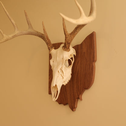 Walnut European State Mount Plaque