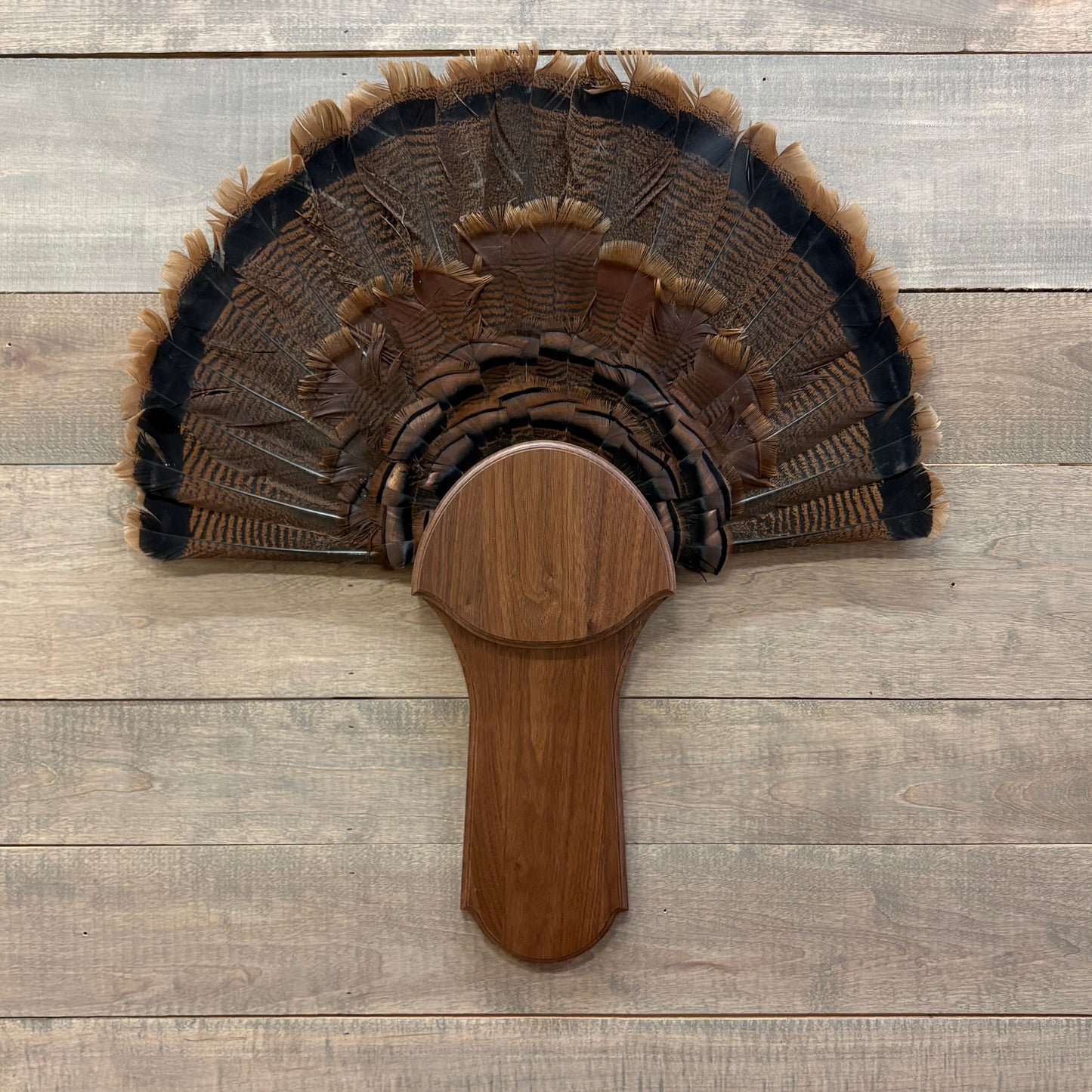 Round Turkey Plaque Full
