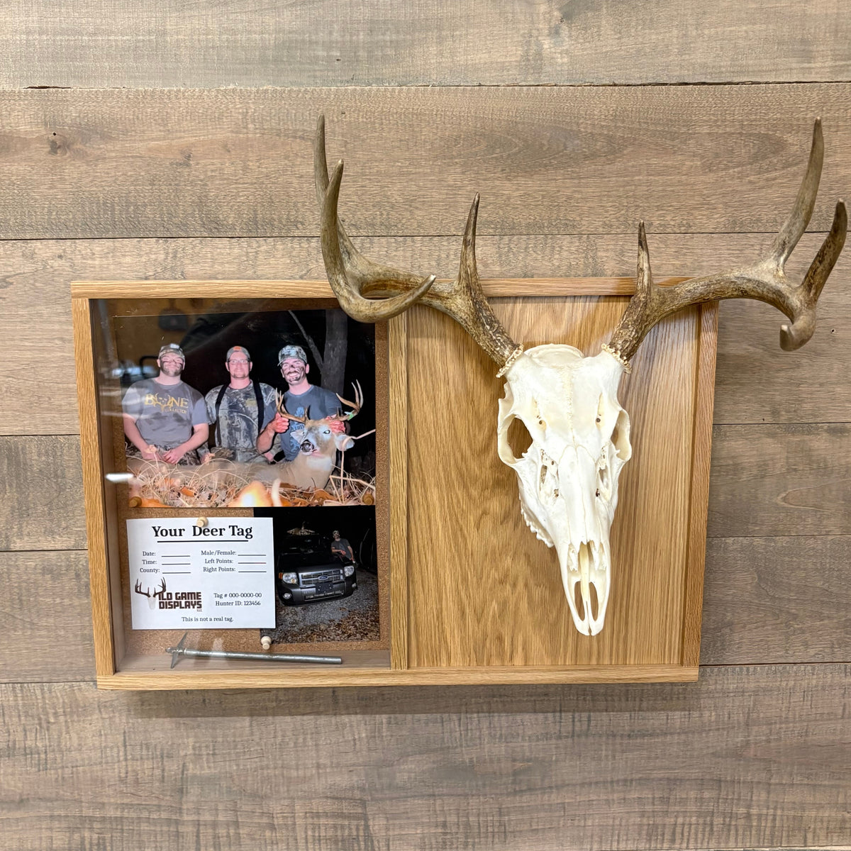 European Shadow Box