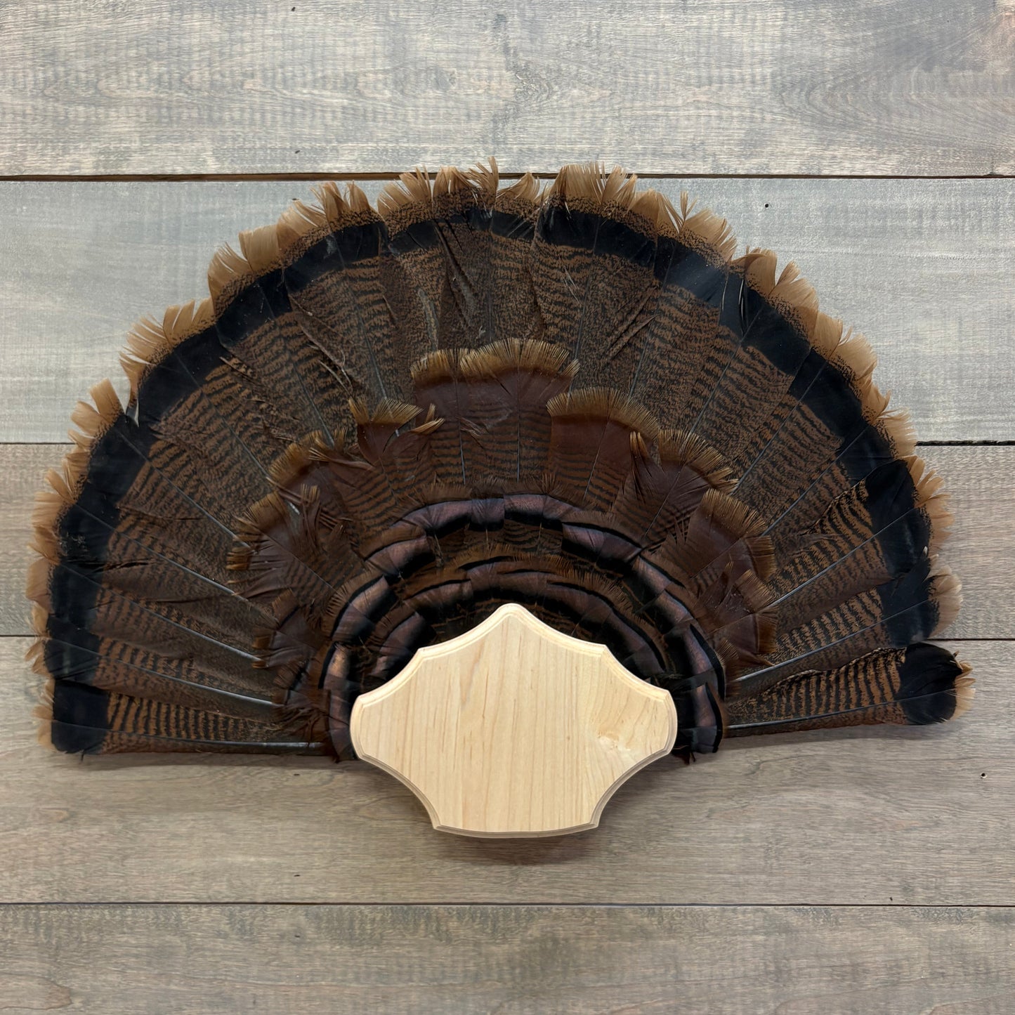 Curved Turkey Plaque Half