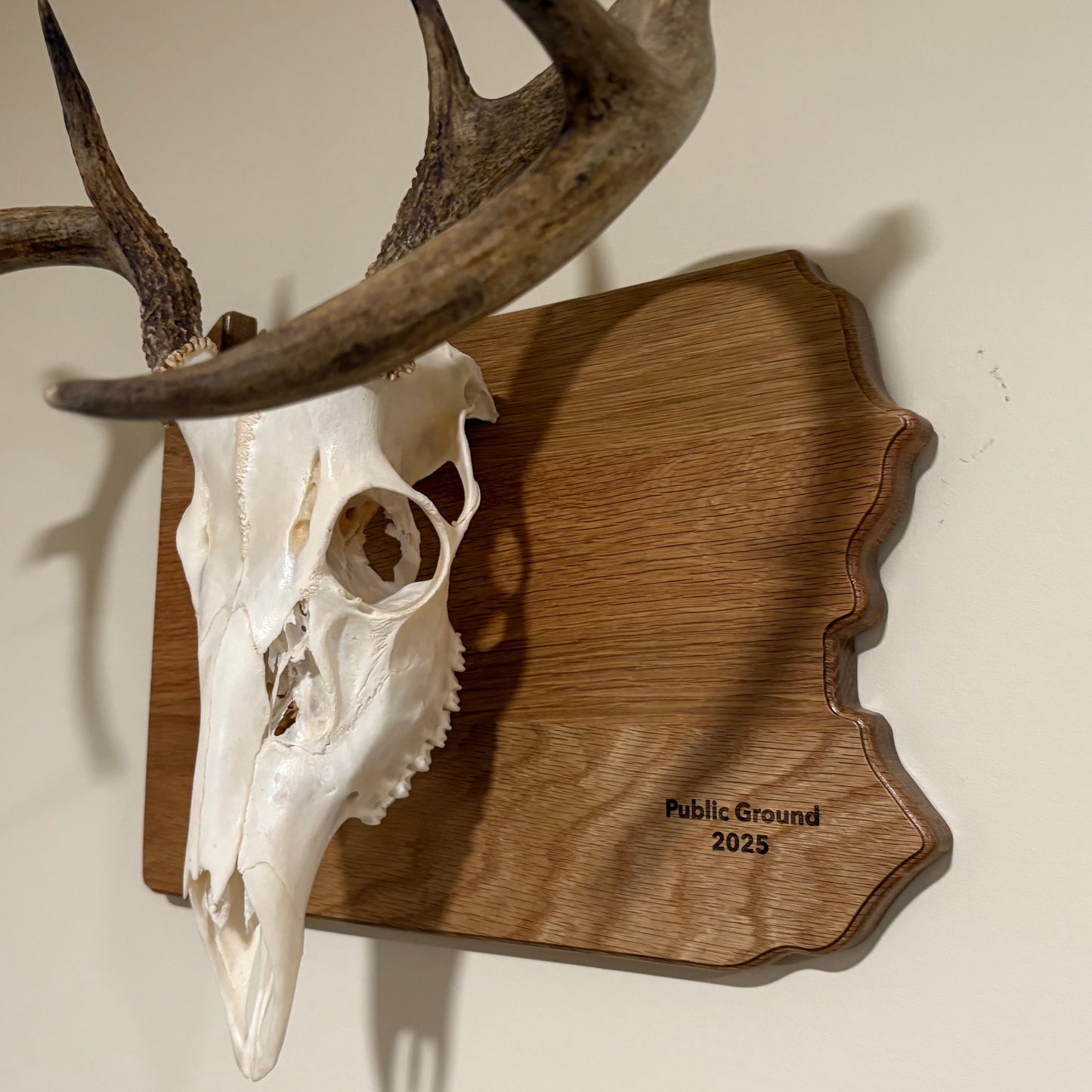 Engraved Oak European State Mount Plaque