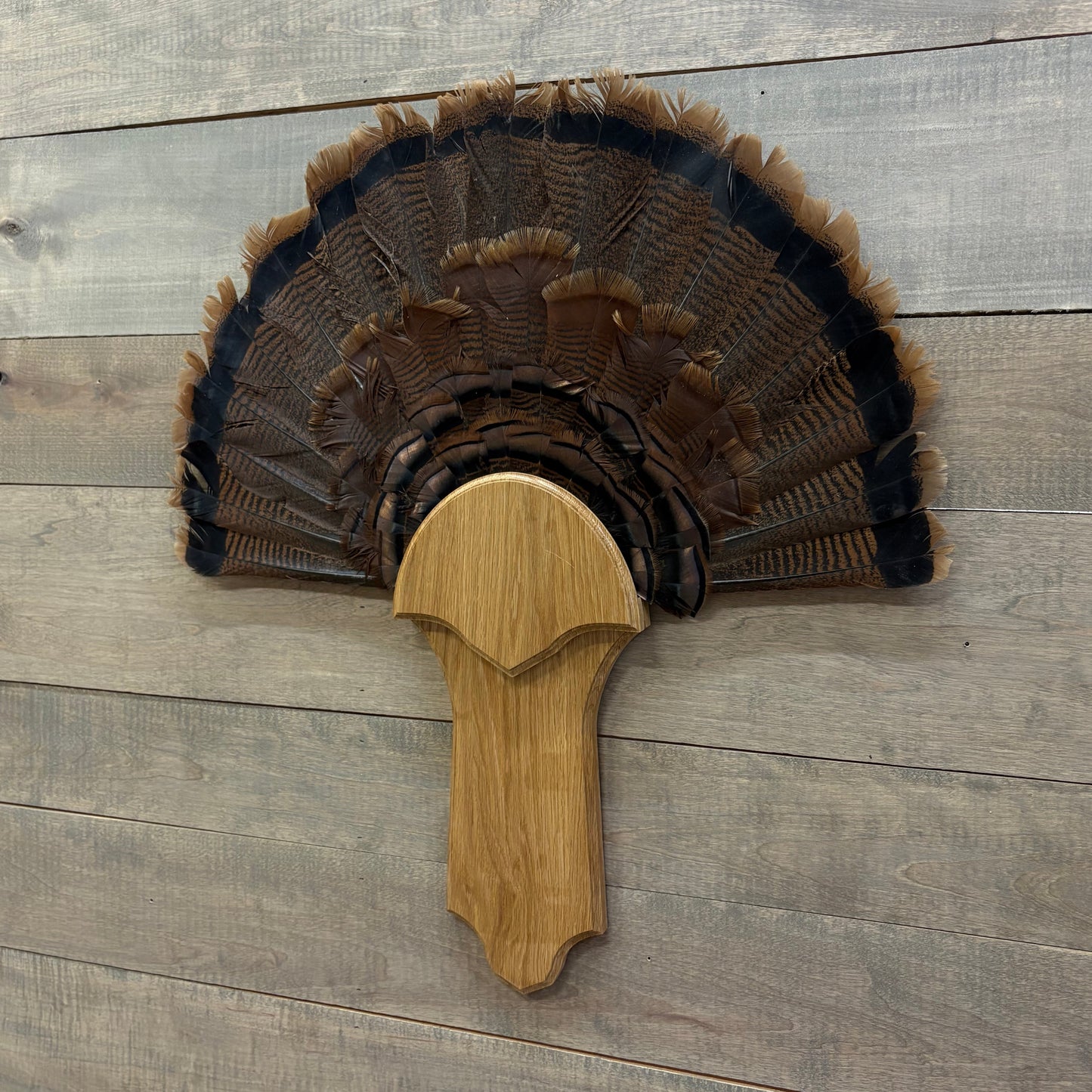 Pointed Turkey Plaque Full