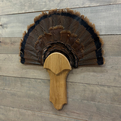 Pointed Turkey Plaque Full