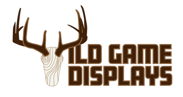 Wild Game Displays